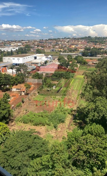 Triunfo Imóveis | Imobiliária em Ribeirão Preto | Apartamento - Vila Amélia - Ribeirão Preto
