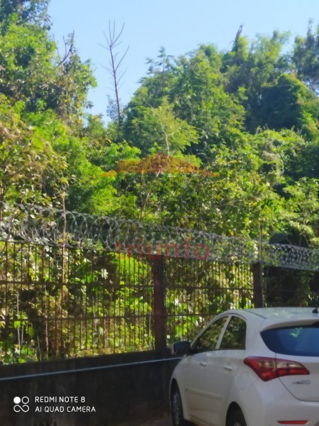 Triunfo Imóveis | Imobiliária em Ribeirão Preto | Apartamento - Vila Amélia - Ribeirão Preto